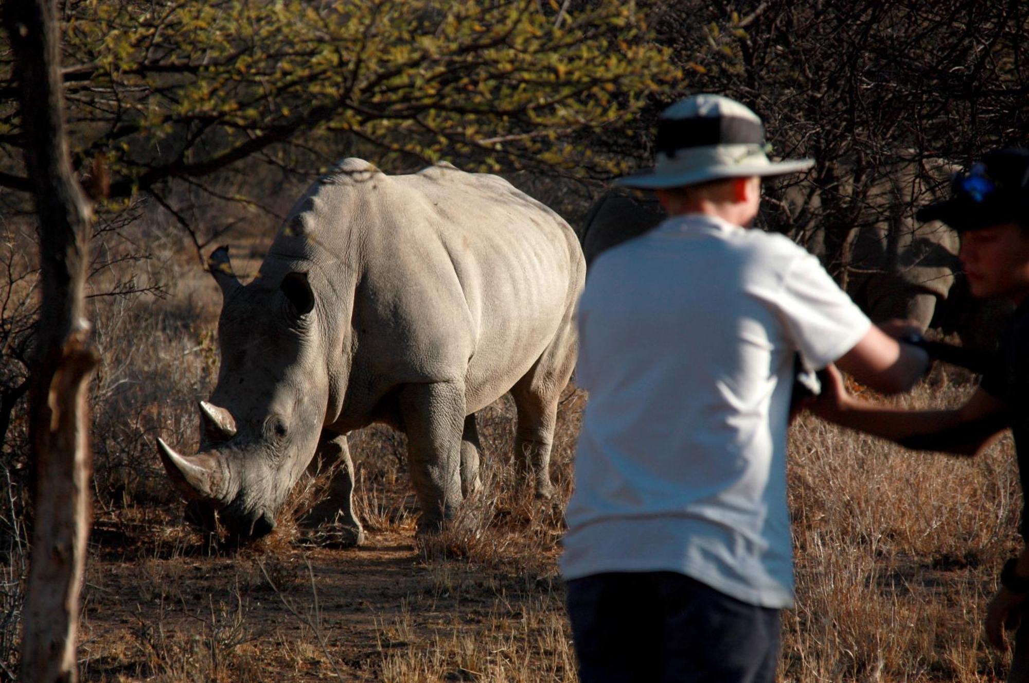 Waterberg Wilderness - One Namibia Villa ห้อง รูปภาพ