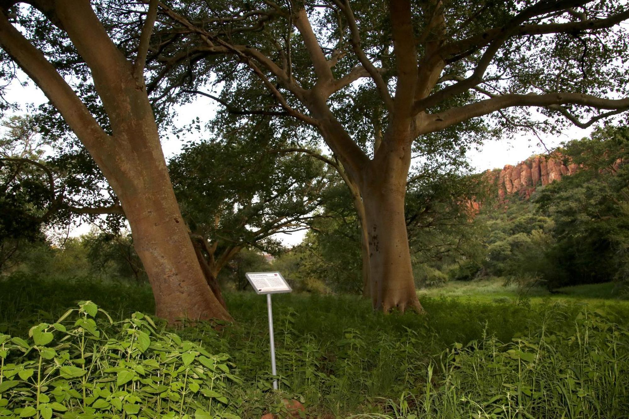 Waterberg Wilderness - One Namibia Villa ภายนอก รูปภาพ