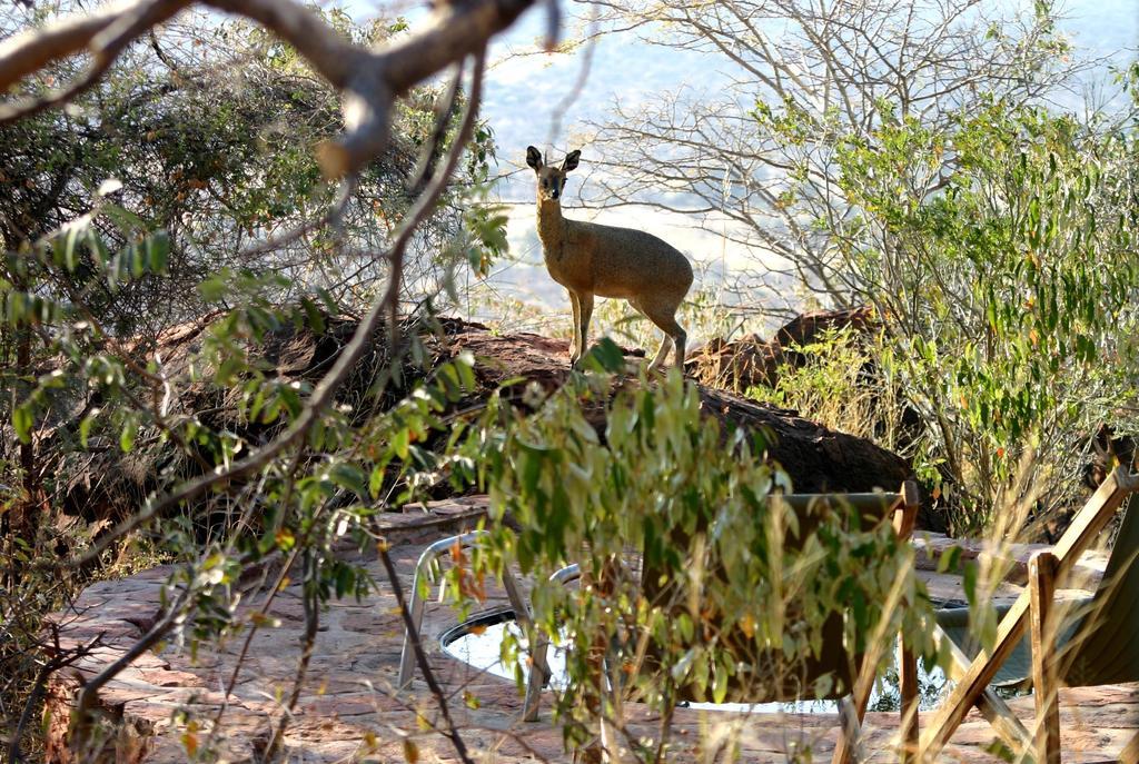 Waterberg Wilderness - One Namibia Villa ภายนอก รูปภาพ