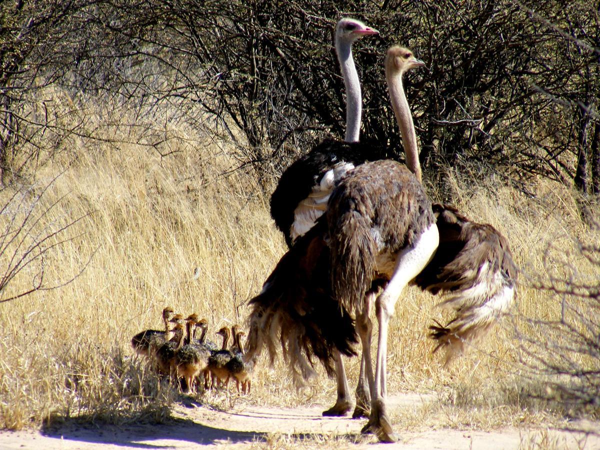 Waterberg Wilderness - One Namibia Villa ภายนอก รูปภาพ