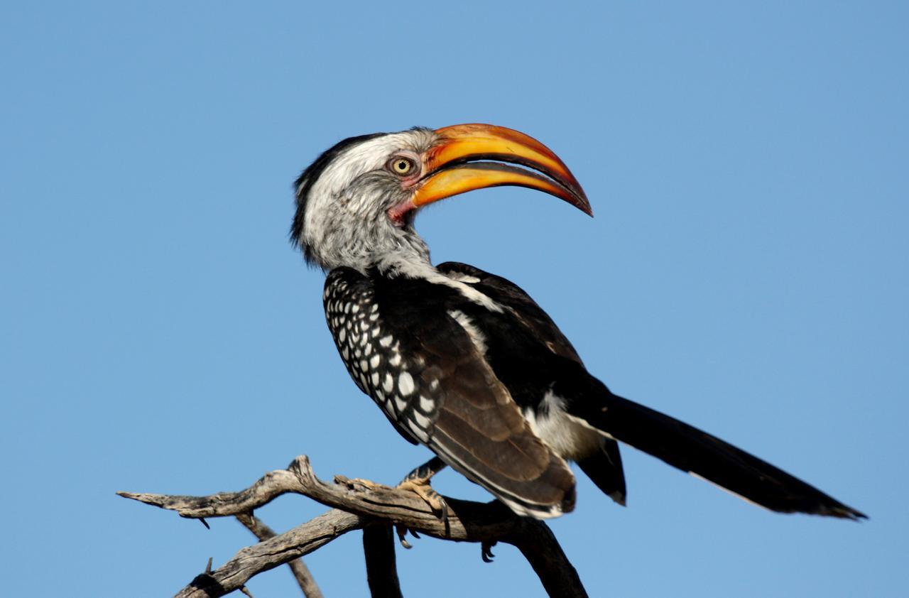 Waterberg Wilderness - One Namibia Villa ภายนอก รูปภาพ