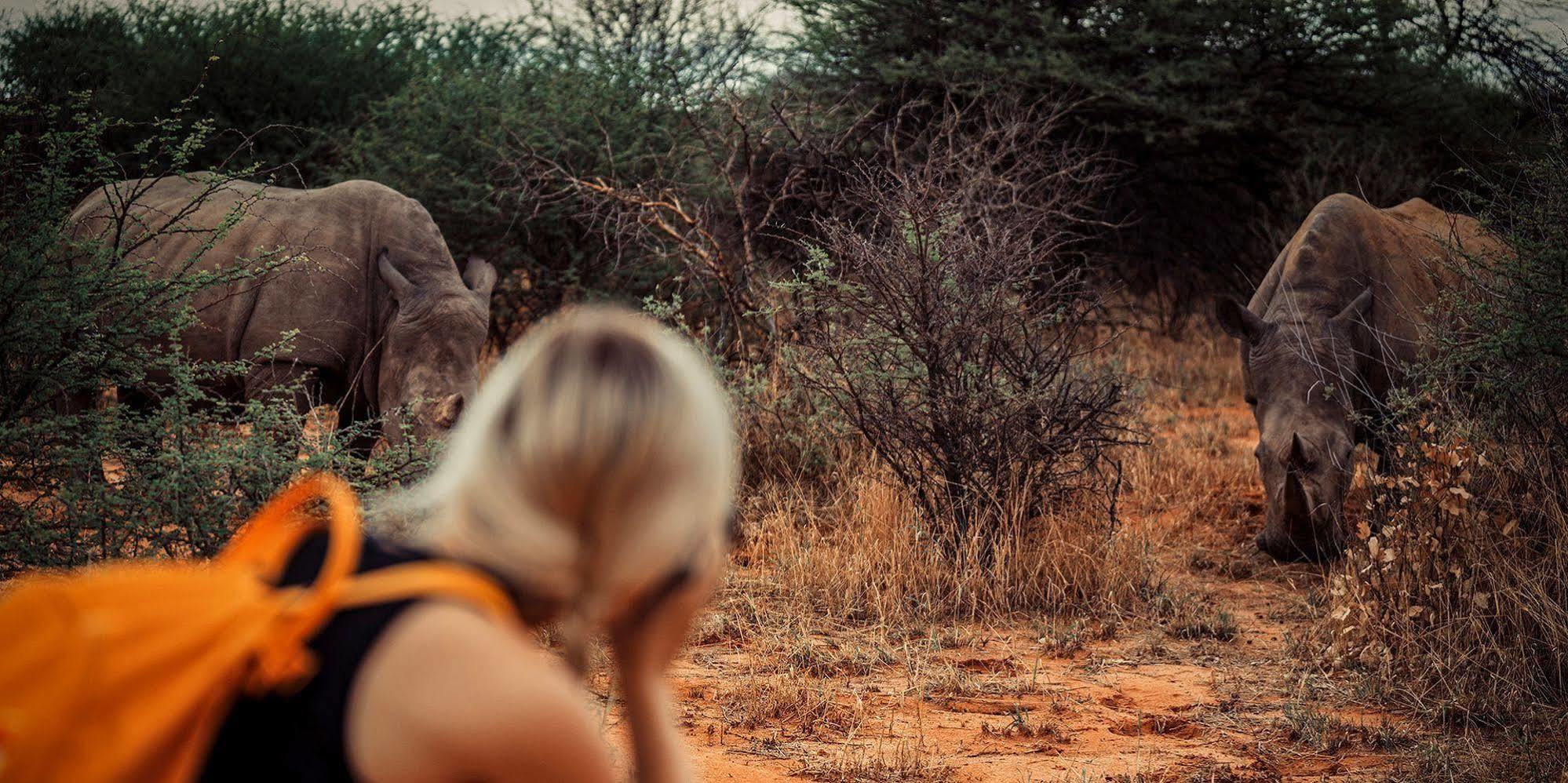 Waterberg Wilderness - One Namibia Villa ภายนอก รูปภาพ